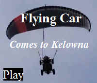 flyingcaricon2