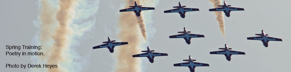 Snowbirds...Poetry in Motion
