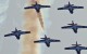 Snowbirds...Poetry in Motion
